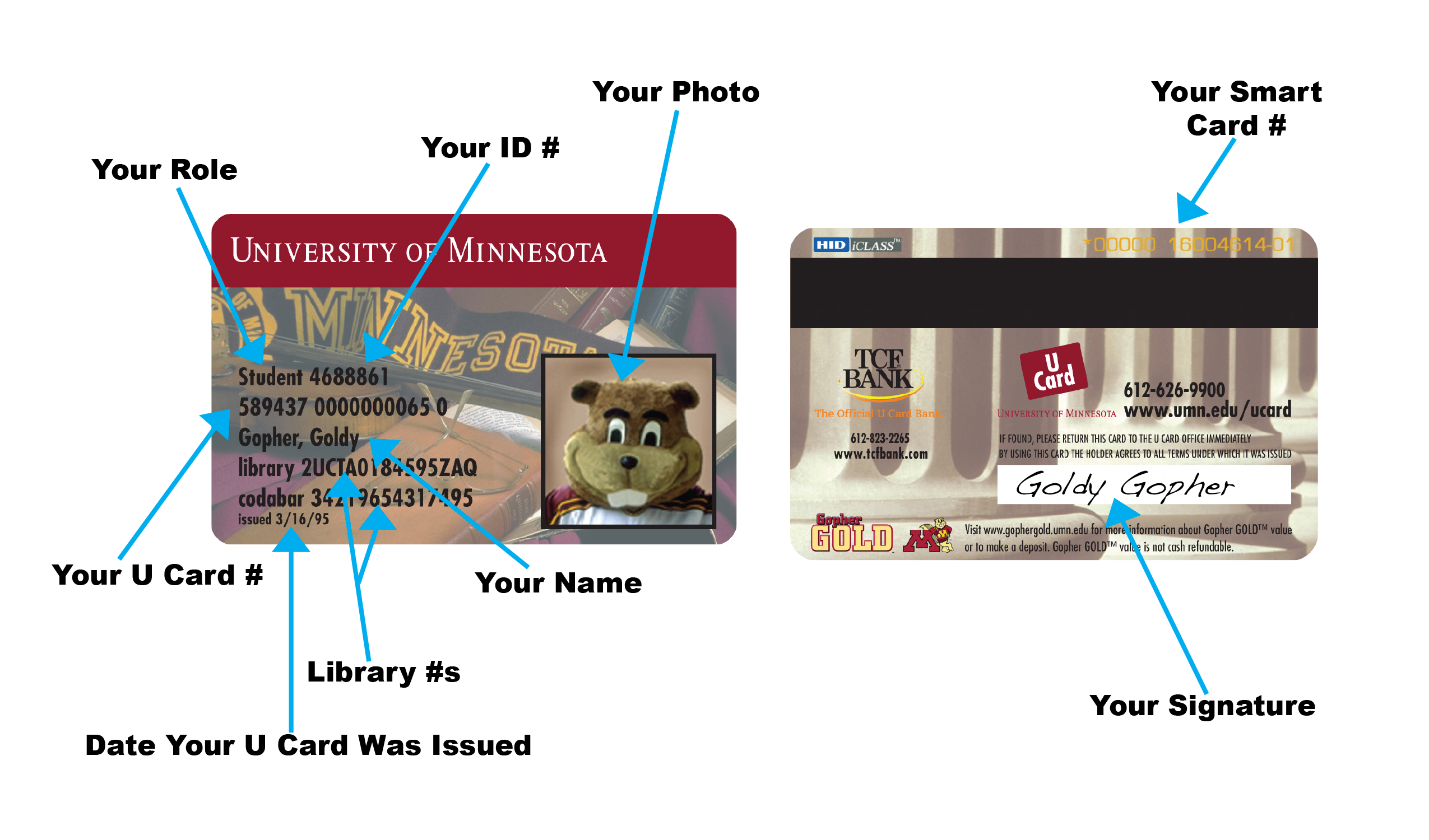 A diagram of the U Card design prior to 2015. The card is horizontal with lines of text. The first line is role and ID number, second is U Card number, third is name, fourth and fifth is library number, and sixth is the print date. The front also contains the photo of the cardholder. On the top right of the back is the smart card number.