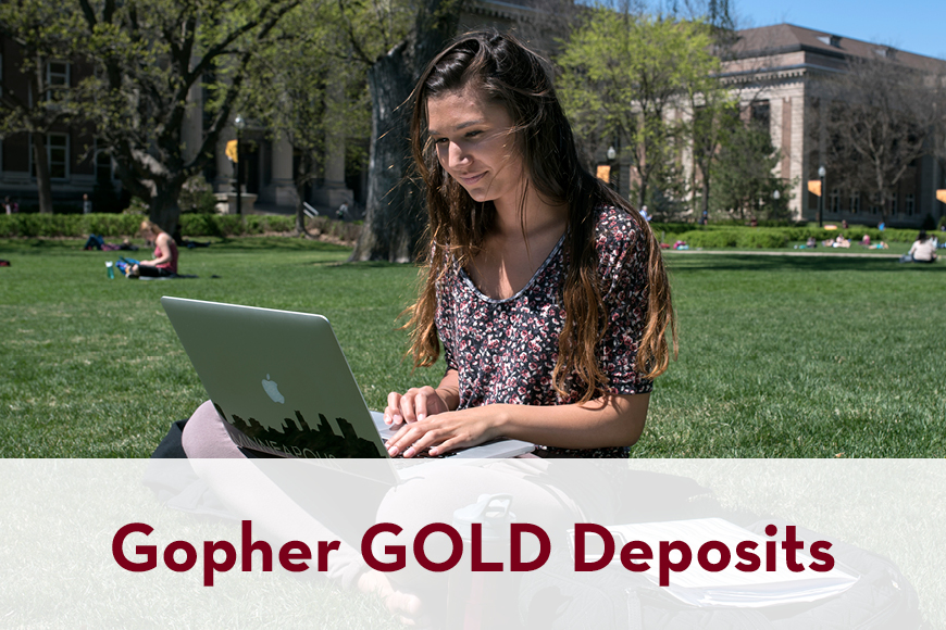 Gopher GOLD Deposits
