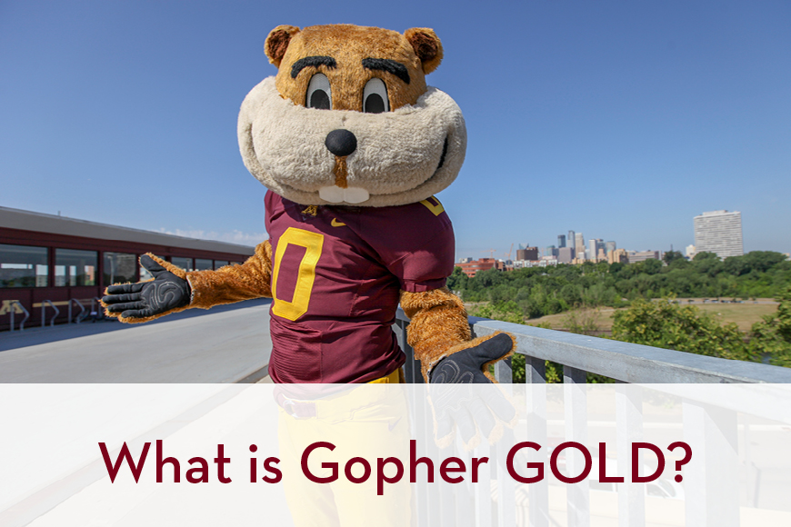 What is Gopher GOLD