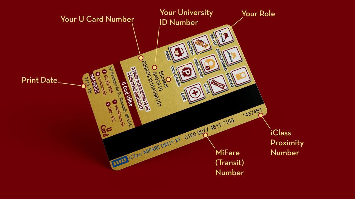 U Card back showing role (center top), ID Number (center center), U Card Number (Center bottom), Print Date (bottom left), iClass number (top right) and MiFare Number (middle right)